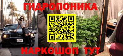 PSILOCYBIN Волгодонск