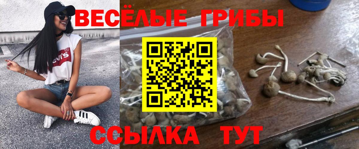 Железногорск  Псилоцибиновые грибы Psilocybe  Вход с VPN 
