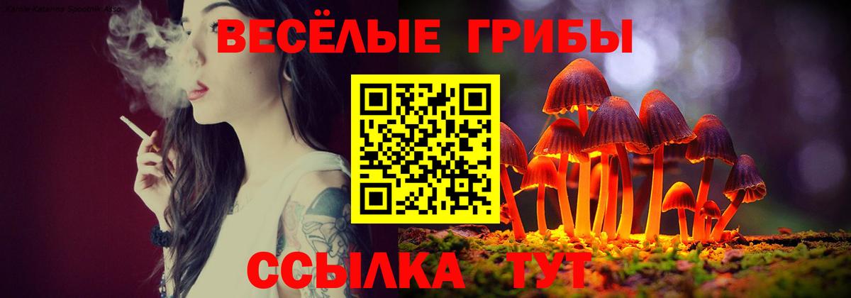 Псилоцибиновые грибы Psilocybe Железногорск